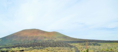 Vinná réva na Lanzarote