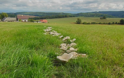 Příroda v Rádnici*