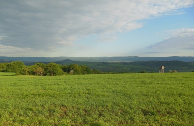 Pole v Řehlovicích