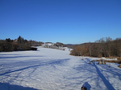 ohradníky na skot