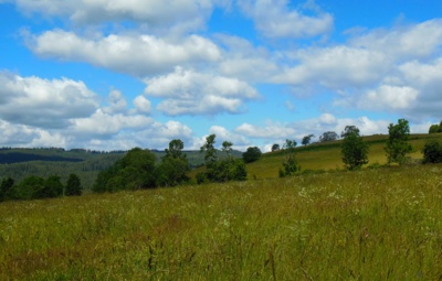 Šumavská příroda