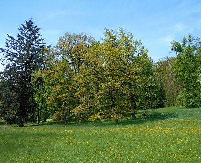 Zámecký park