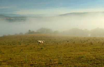 Setkání pod mlhou