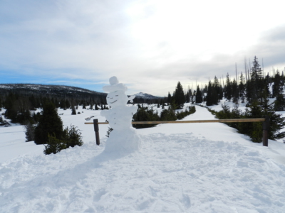 Šumava - Březník