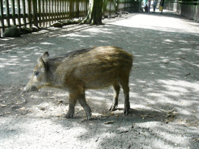 Pozvánka na výlet