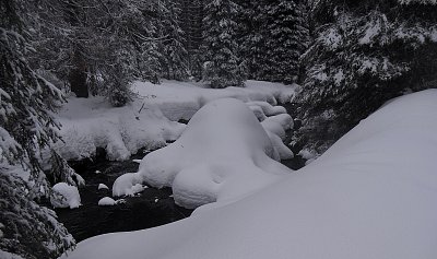 Modravská chobotnice