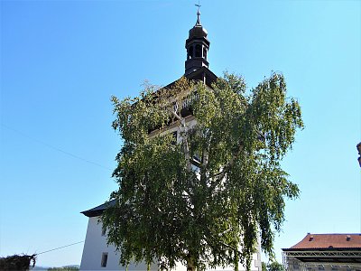 ve stínu břízy