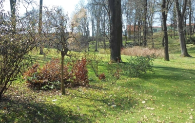 Jaro v zámeckých parcích