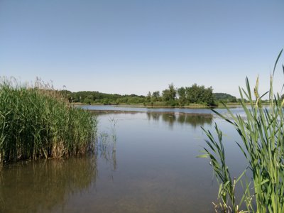 Zlaté ,,Elenino,, jezero