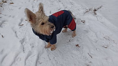 Nezmrznu, mám zimní outfit