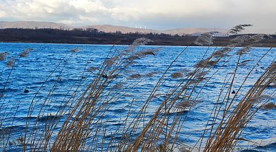 Jezero Most