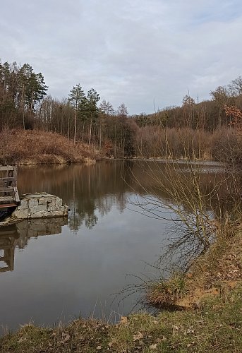 První Zboženský rybník