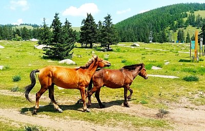 Mongolsko v proměnách času aneb z čeho by měl a neměl Čingischán radost