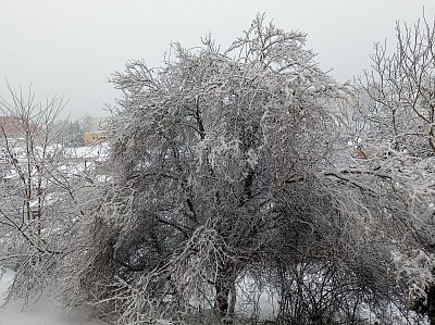 Zimní pohled z okna *