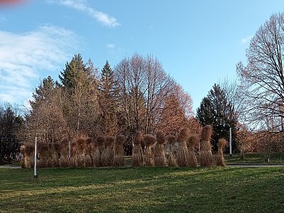 Včera jaro, dnes sněží ...