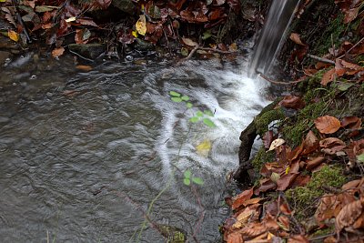 Studánka