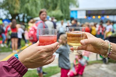 Na poslední srpnovou neděli připadne 11. ročník Vinobraní u Máchova jezera