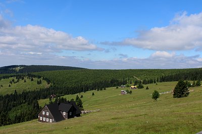 Krkonošské louky