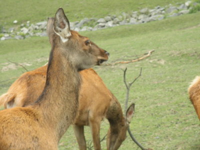 Zoo Tábor