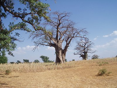 Putování africkým Mali do bájného Timbuktu