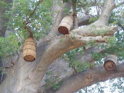 Putování africkým Mali do bájného Timbuktu