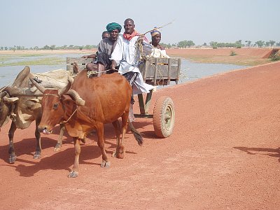 Putování africkým Mali do bájného Timbuktu