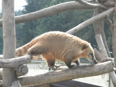 Táborská Zoo