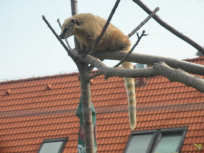 Táborská Zoo