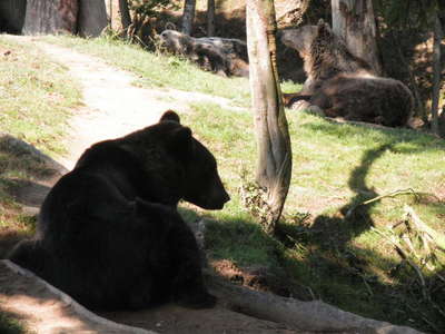 Táborská Zoo