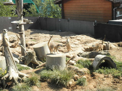 Táborská Zoo