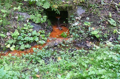 Pramínek v Karlově Studánce