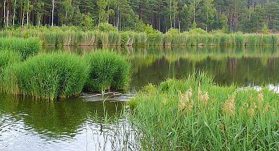 Zelené jezero