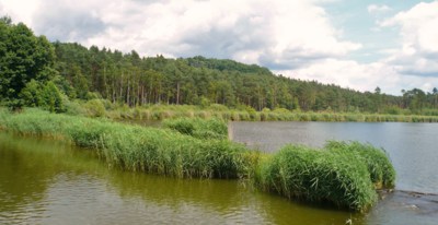 Jezero