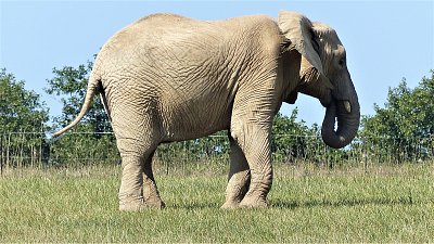 Do ZOO Lešná u Zlína za zvířátky celého světa