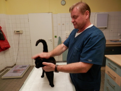 U veterináře