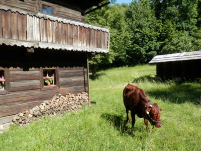 Rožnov