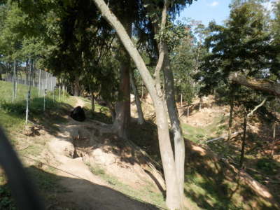 Táborská Zoo