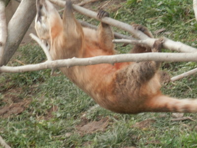 Zoo Tábor v říjnu