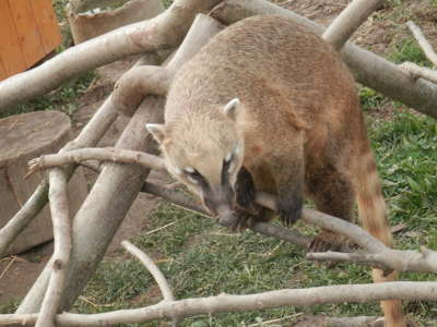 Zoo Tábor v říjnu