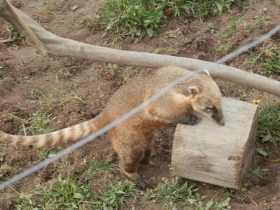 Zoo Tábor v říjnu