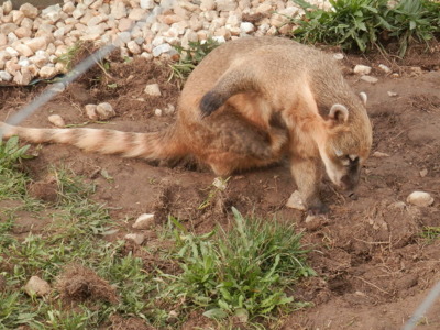 Zoo Tábor v říjnu