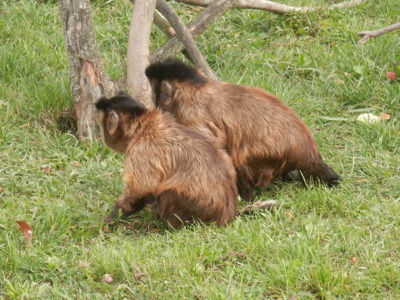 Zoo Tábor v říjnu