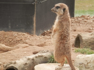 Zoo Tábor v říjnu