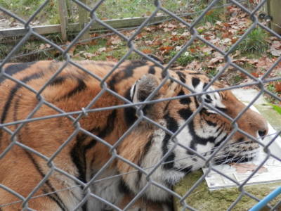 Zoo Tábor v říjnu