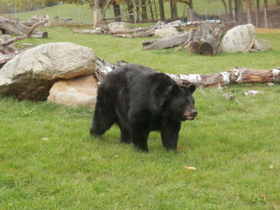 Zoo Tábor v říjnu