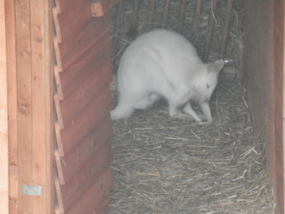 Zoo Tábor v říjnu