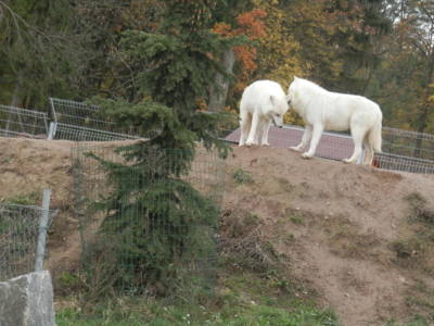 Zoo Tábor v říjnu