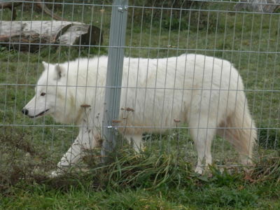 Zoo Tábor v říjnu