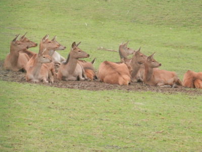 Zoo Tábor v říjnu