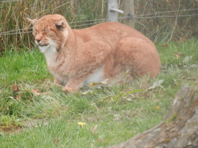 Zoo Tábor v říjnu